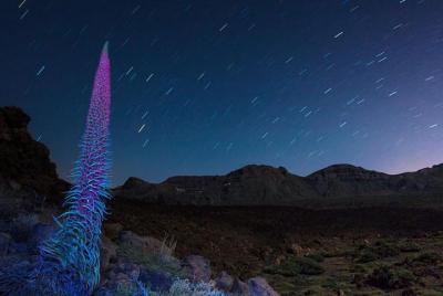 Excursión en el monte Teide por la noche Excursión en el monte Teide por la noche