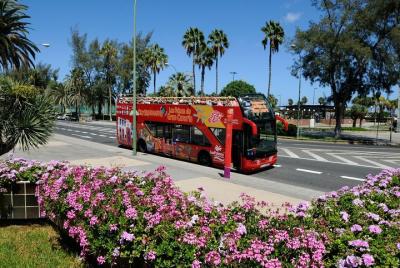 Excursión en autobús turístico con paradas libres de Las Palmas d