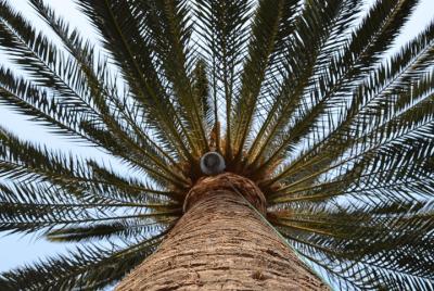 Visita audioguiada al interior del Parque Etnográfico.
