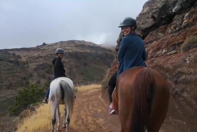 Ruta Drago Milenario De Alajeró 