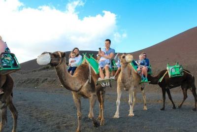 Paseo en camellos en el parque nacional de timanfaya