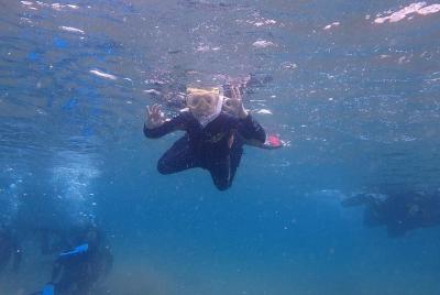 Tour guiado de snorkel en Lanzarote