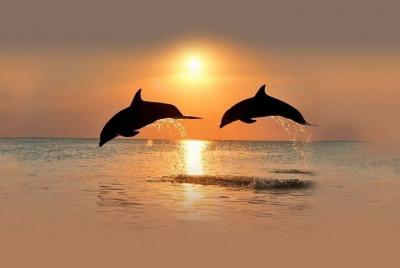 PASEO EN BARCO,
EXCURSIÓN MUY ROMÁNTICA, PUESTA DE SOL (ideal par