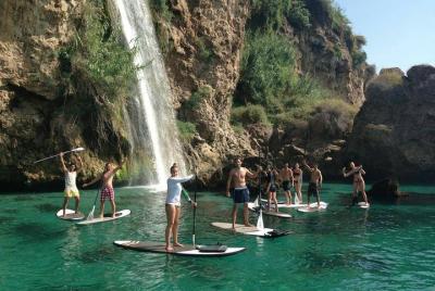 Paddle Surf (SUP) Paddle Surf (SUP)