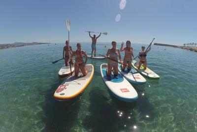 Paddle Surf (SUP) Paddle Surf (SUP)