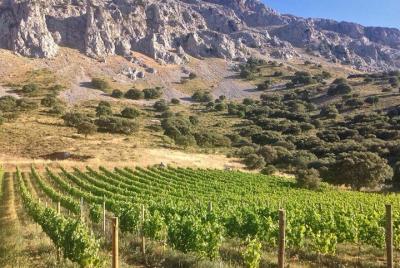 Tour VIP del Vino por el Valle del Guadalhorce y Visita al Santua Tour VIP del Vino por el Valle del Guadalhorce y Visita al Santua