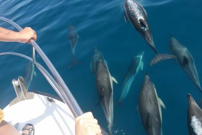 Tour Bahía de Estepona