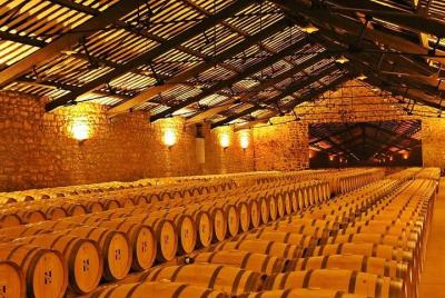 Visita a las bodegas de Navarra Visita a las bodegas de Navarra