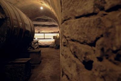 Rioja con el propietario de una bodega Rioja con el propietario de una bodega