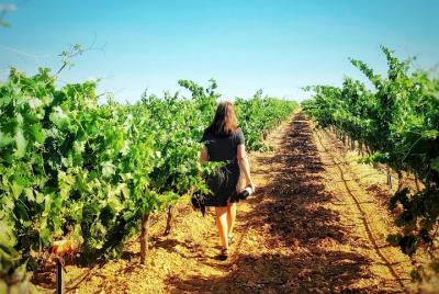 Descubre la auténtica cultura del vino de Rueda Descubre la auténtica cultura del vino de Rueda
