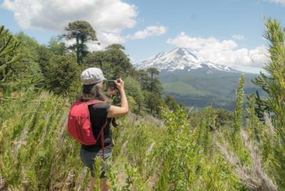 Parque Nacional Conguillío, trekking y fotografía  Parque Nacional Conguillío, trekking y fotografía
