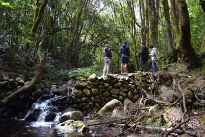 Ruta Combinada de Senderismo en el Parque Nacional de Garajonay y