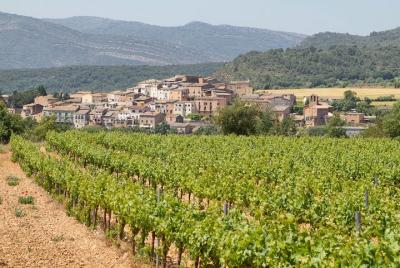 Visita a la bodega y degustación en Valladolid. Visita a la bodega y degustación en Valladolid.