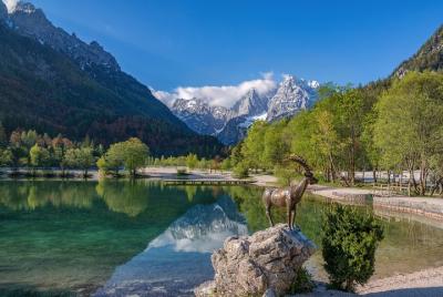 Bicicleta de montaña Kranjska Gora Bicicleta de montaña Kranjska Gora