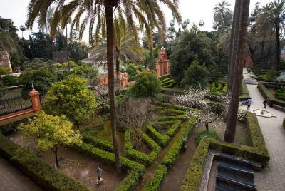 VIP Pack: Visit Alcázar and yatch ride trought Guadalquivir River