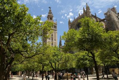 Sevilla, paseo a pie por el corazón de la ciudad Sevilla, paseo a pie por el corazón de la ciudad