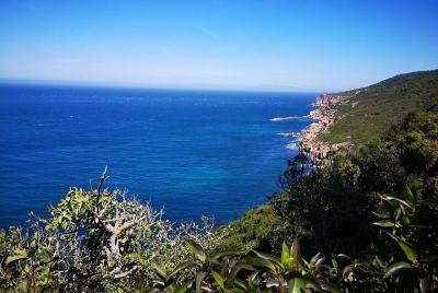 Visita de un día a Tánger desde Tarifa Visita de un día a Tánger desde Tarifa