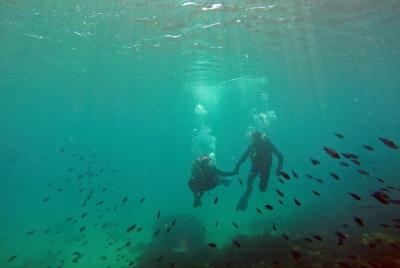 Bautismo de buceo en el Parque natural del Estrecho Bautismo de buceo en el Parque natural del Estrecho