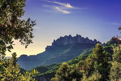 Montserrat & Vinos -Grupo reducido y recogida hotel desde Salou/T Montserrat & Vinos -Grupo reducido y recogida hotel desde Salou/T