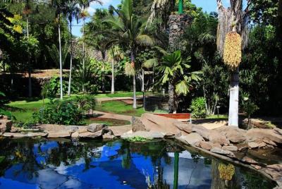Sin colas: Jardín Botánico Palmetum en Santa Cruz de Tenerife - Boleto Sin colas: Jardín Botánico Palmetum en Santa Cruz de Tenerife - Boleto