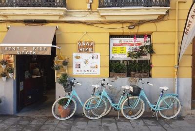 Fantástico recorrido con guías en holandés, inglés, italiano y es