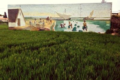 Recorrido en bicicleta por el Parque Natural de la Albufera con p