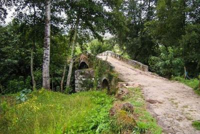 El Camino Portugues: de Tui a Santiago de Compostela 8 días y 7 n El Camino Portugues: de Tui a Santiago de Compostela 8 días y 7 n