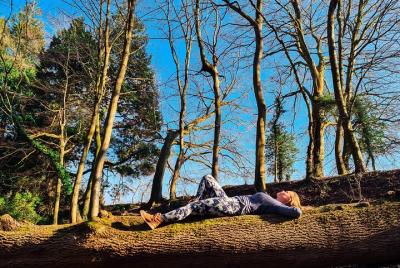 Medio día de baño en el bosque y yoga en Brighton's Woodlands