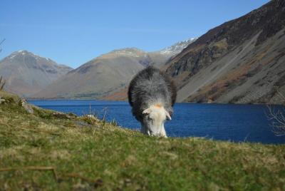Excursión de un día a High Adventure desde Keswick
