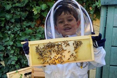 Descubre las colmenas activas en Londres