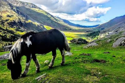 Aventura turística de día completo en el norte de Gales desde Man Aventura turística de día completo en el norte de Gales desde Man