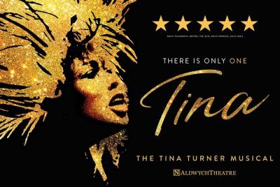 Espectáculo musical Tina Turner Theater Show en Londres