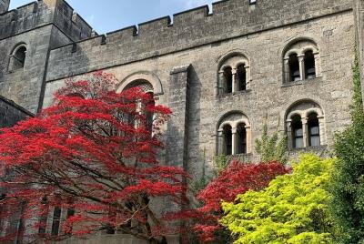 Gales embrujada con estancia en castillos y mansiones | Tour en g