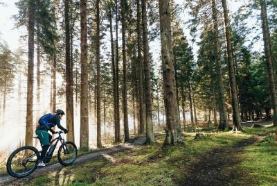 Excursiones guiadas en bicicleta eléctrica Dorset