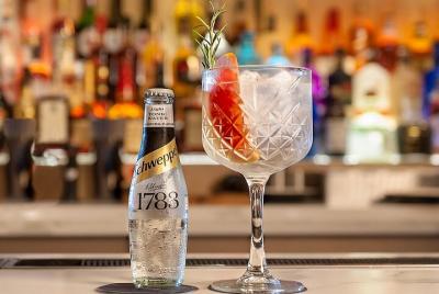 Degustación de ginebra o ron en Southampton