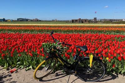 ¡Disfruta de los campos de tulipanes en bicicleta con un guía loc