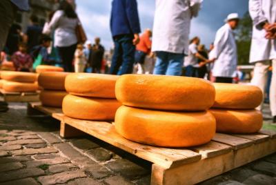 Tour encantador de degustación de queso Gouda