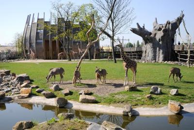Entrada directa al zoológico de Rotterdam Diergaarde Blijdorp