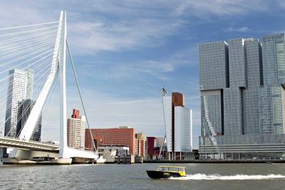 Visita guiada: Rotterdam, Markthal, taxi acuático, Wilhelminapier