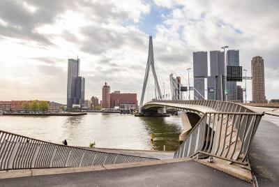 Paseo arquitectónico de Rotterdam con un local Paseo arquitectónico de Rotterdam con un local