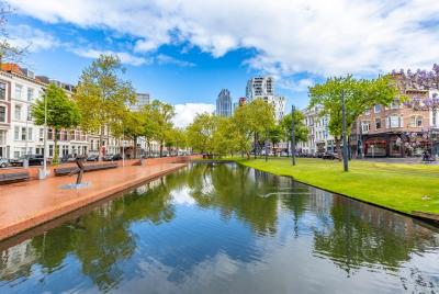 Descubre Rotterdam en 90 minutos con un local