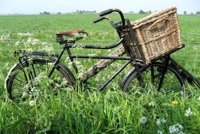 Recorrido en bicicleta por la campiña holandesa desde Delft