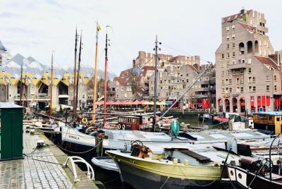 Experiencia privada a Rotterdam para un recorrido a pie y un cruc