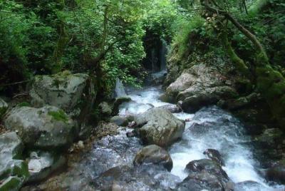 Tatzati Hiking Adventure: senderismo, naturaleza, historia, hospe Tatzati Hiking Adventure: senderismo, naturaleza, historia, hospe