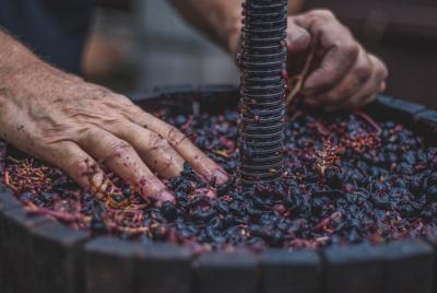 Cata de vinos en Berat