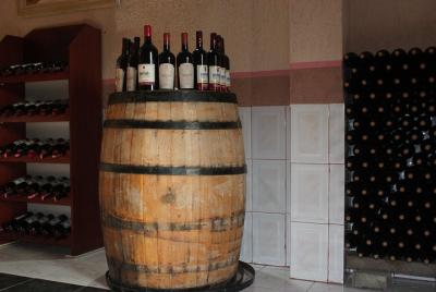 Tour de cata de vinos Luani Winery Berat by Vato.al