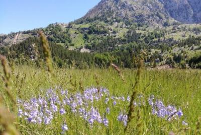 Increíble viaje de 2 días