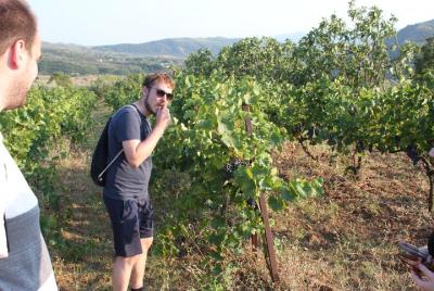 Tour a la cascada de Bogove y degustación de vinos / por Berat Ci