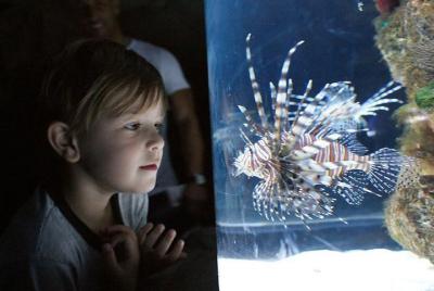 Excursión al Bioparque Temaiken Buenos Aires