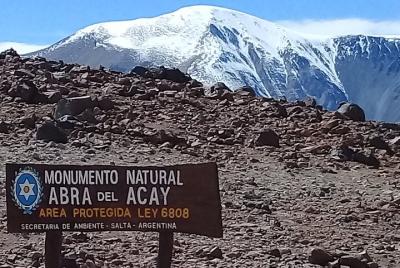 Descubre la Ruta 40 en Salta